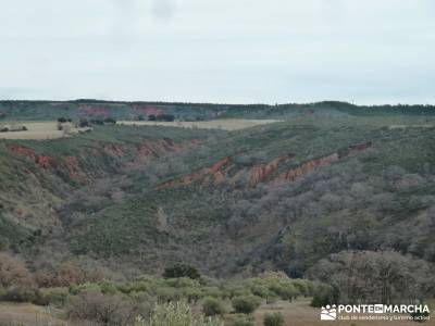 El Monasterio del Bonaval y el cañón del Jarama;rutas y senderismo madrid club senderismo madrid g